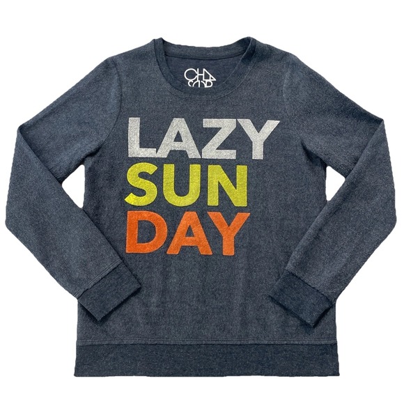 Chaser Sweatshirt Lazy Sunday Womens SMALL Gray Blue Long Sleeve Pullover SOFT - Picture 1 of 7
